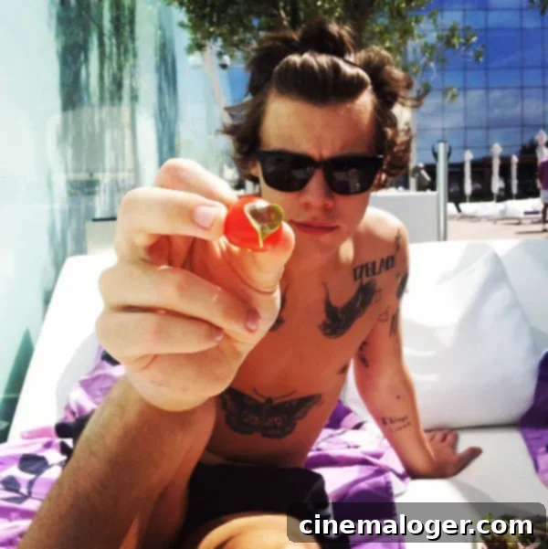 Harry Styles' Shirtless Mexico Retreat Ahead Of North American Tour 1 featured 1111125