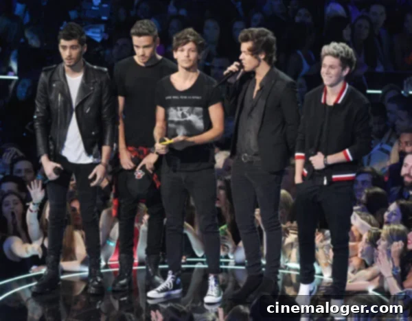 One Direction Calls Out Taylor Swift Over VMA Maturity Row 1 featured 1175640