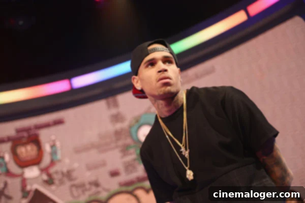 Rihanna Diss Sparks Chris Brown's Attack On Mother's Car 1 featured 1300472