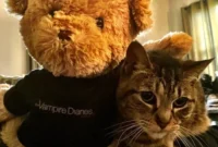 Nina Dobrev Shades Nikki Reed with ‘Fake Bitches’ Slam