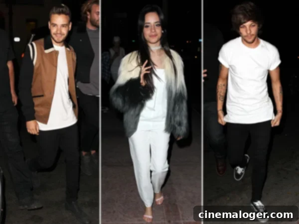 Louis Tomlinson Camila Cabello Party Photos Ignite Dating Speculation 1 featured 1712946