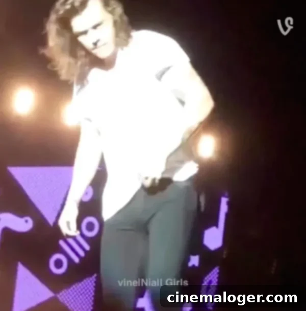 Harry Styles' Awkward On-Stage Moment Goes Viral 1 featured 1810206