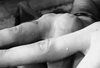 Kendall Jenner’s Tattoos: Unveiling Their Secret Significance