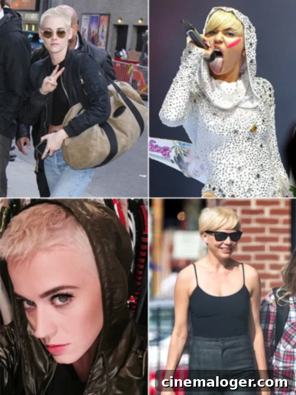 8 Stars Whose Hair Makeovers Accidentally Made Them Justin Bieber's Twin 1 featured 2554970