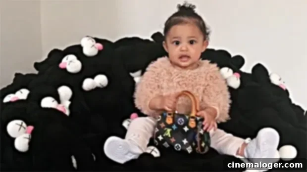 Kylie Jenner's Stormi Webster Stuns Fans With Her Grown-Up Look And $2K Louis Vuitton Purse 1 featured 3466716