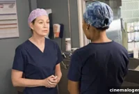Grey’s Anatomy: Link’s Past Forges New Connection with Meredith