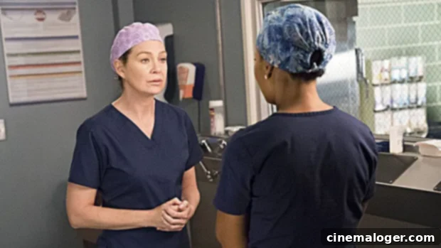 Grey's Anatomy: Link's Past Forges New Connection with Meredith 1 featured 3489680