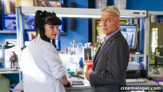 Pauley Perrette Terrified of Mark Harmon Refuses NCIS Return 1 featured 3633303