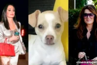 Kyle Richards: LVP Feud Runs Deeper Than the Dog, Built Up Over Years