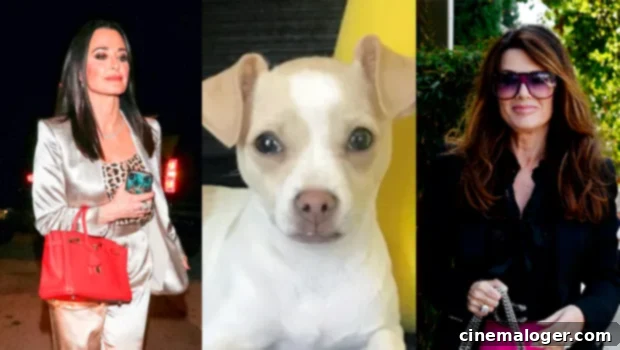 Kyle Richards: LVP Feud Runs Deeper Than the Dog, Built Up Over Years 1 featured 3637771