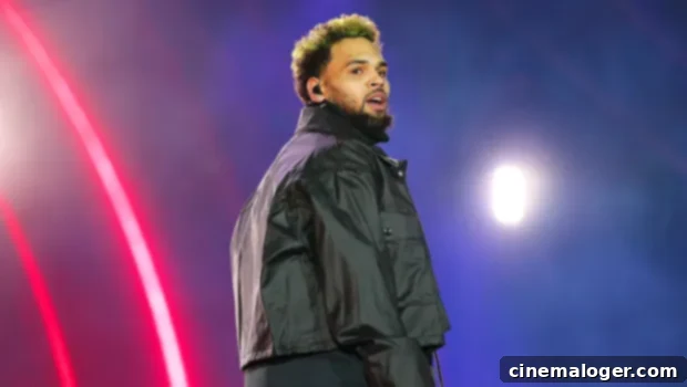 Diamond Brown: What You Need To Know About The Model Chris Brown Liked On Instagram 1 featured 3642988