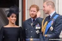 Harry and Meghans Underwhelming Birthday Message Reignites William Feud