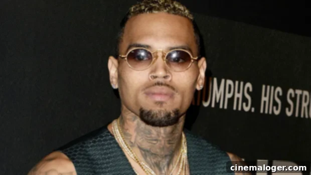 Chris Brown Fires Back At 'Weird' Fans Over 'Nice Hair' Lyrics 1 featured 3655035