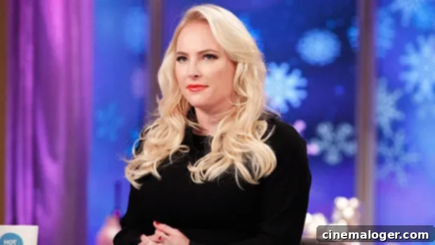 Ana Navarro's 'Don't Scream At Me' Sparks Meghan McCain's Walkout On 'The View' 1 featured 3734725