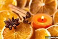 Fall Fragrance Guide: 12 Products for a Perfectly Scented Home