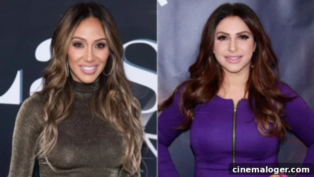 Melissa Gorga Calls Jennifer Aydin's Comments Stupid 1 featured 3796407