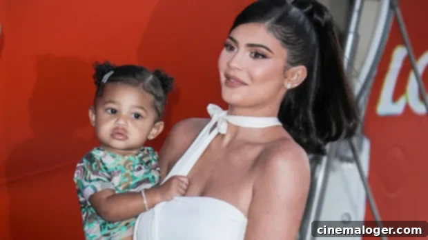 Two-Year-Old Stormi Webster Stuns With Expert Counting In Kylie Jenner Video 1 featured 3931683