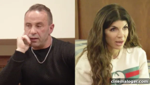 Joe Giudice Unveils The Moment He Knew His Marriage To Teresa Was Done 1 featured 3939078