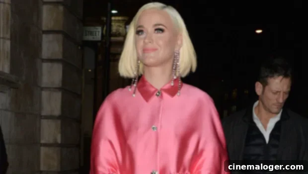 Katy Perry Sets The Record Straight On Her Planned Pregnancy 1 featured 3955376