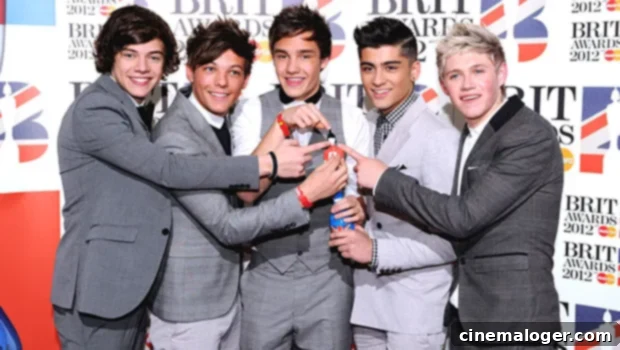 Liam Payne Unveils One Direction's 10th Anniversary Surprise 11 featured 3999081