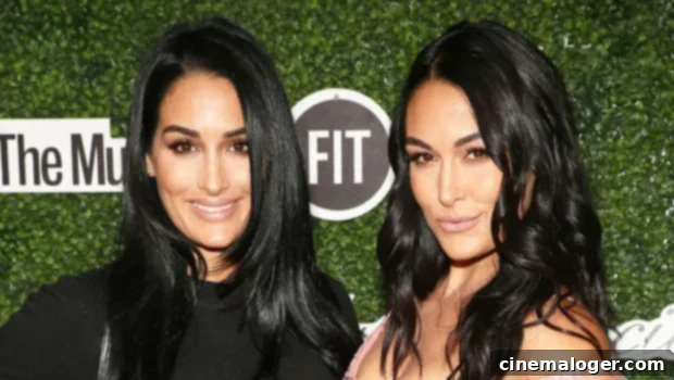 The Bella Twins Mom Kathy Colace Her Brave Fight Against a Brain Tumor 1 featured 4008288