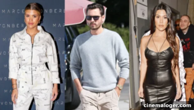 Sofia Richie's Take on Scott Disick's Birthday Reunion with Kourtney 1 featured 4020866
