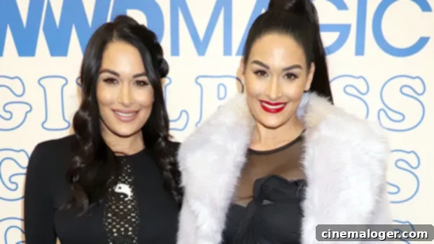 Nikki & Brie Bella Reimagine Baby Showers, Support Expecting Mothers 1 featured 4088601
