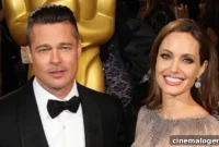 Brangelina: From Red Carpet Bliss to Bitter Legal Battles