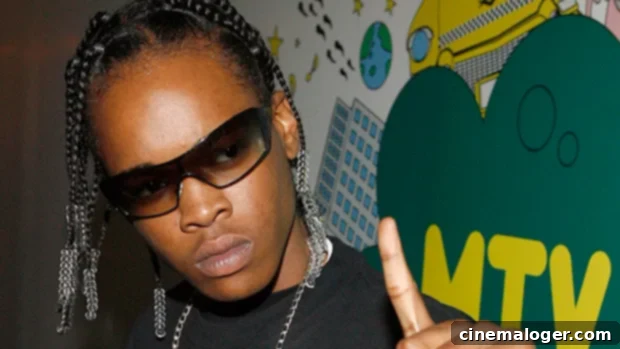 Hurricane Chris's Murder Charge: 5 Essential Facts Revealed 1 featured 4108153