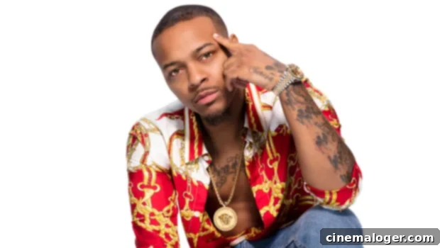 Bow Wow on Growing Up Hip Hop: His Future After 'Done' Declaration 1 featured 4112816