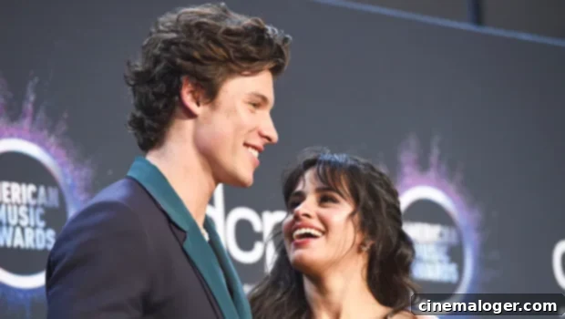 The Tumultuous Timeline of Shawn Mendes and Camila Cabello's Romance 1 featured 4277174
