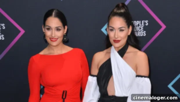 Nikki and Brie Bella Get Real About Their Post-Baby Weight Loss Goals 1 featured 4348216