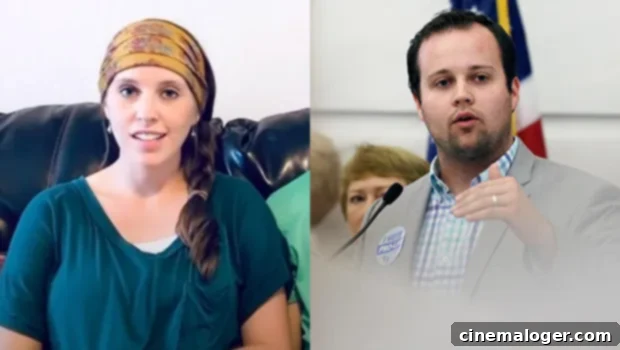 Jill Duggar and Siblings Blast Josh Over Child Pornography Charges 1 featured 4399438