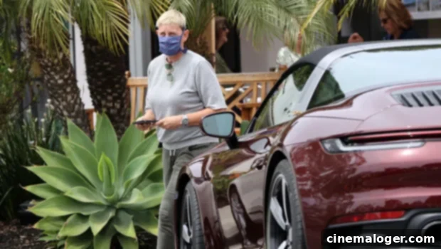 Ellen DeGeneres Flaunts Her Vintage Porsche Among Celebrity Supercars 1 featured 4401762