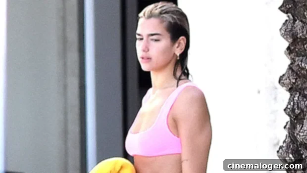 Dua Lipa Stuns Poolside In Hot Pink And A Cowboy Hat 1 featured 4423885