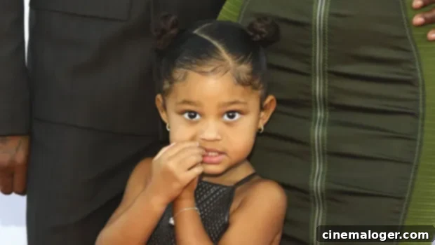 Stormi Webster Steals the Show with Kylie and Travis Scott at Parsons Benefit 1 featured 4429176