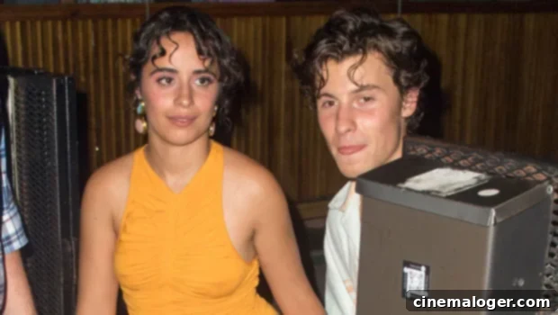 Orange Crush: Camila Cabello Dazzles on Date Night with Shawn Mendes Post-Anniversary 1 featured 4483561