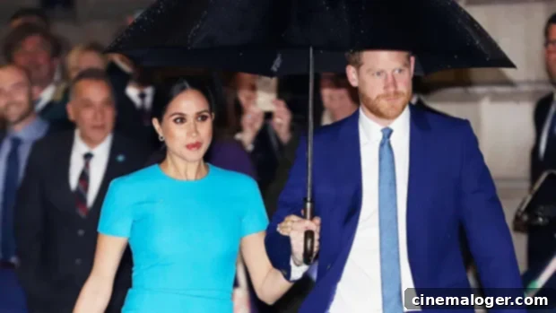 Harry and Meghan Speak Out: Heartbreak for Afghanistan, Haiti 1 featured 4498305