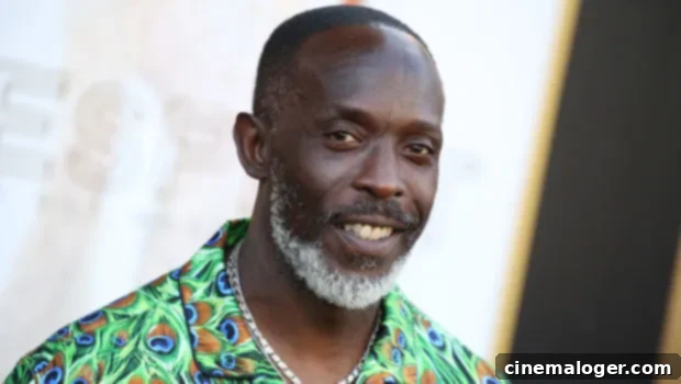 Michael K. Williams: Five Defining Moments of 'The Wire' Star's Life, Tragically Ended at 54 1 featured 4509862