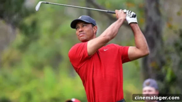 Tiger Woods Returns to the Green, 8 Months After Catastrophic Accident 1 featured 4536627