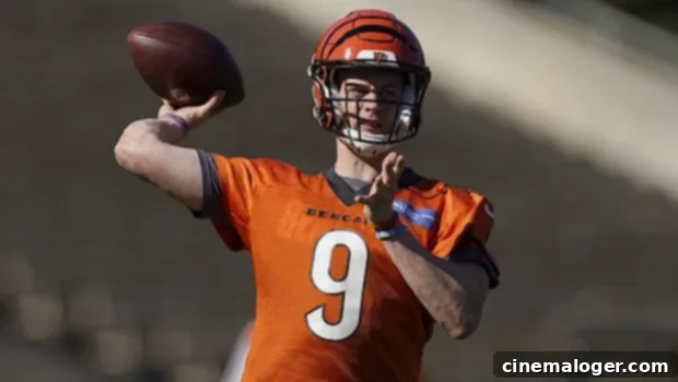 Cincinnati's QB Architects: The Leaders of the Bengals' Last Two Decades 1 featured 4643669