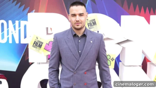 Discover Aliana Mawla 5 Things You Need To Know About Liam Paynes New Flame 1 featured 4746357