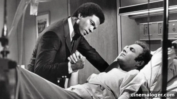 Billy Dee Williams Pays Tribute to James Caan Recalling Their Brian's Song Bond 1 featured 4785154