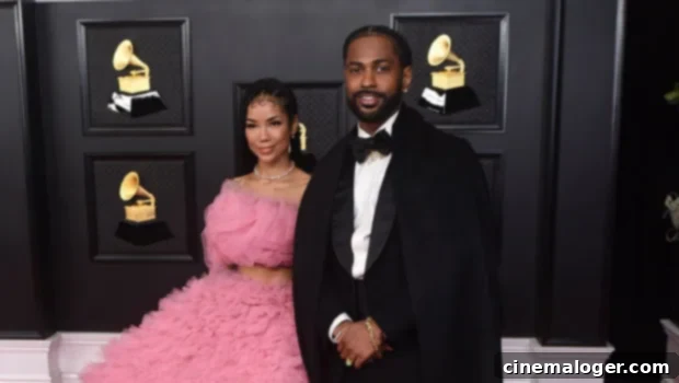 Big Sean and Pregnant Jhene Aiko Announce Baby's Gender Live At Concert 1 featured 4870686