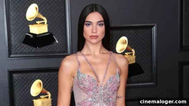 Dua Lipa Dazzles Melbourne in Barely-There Pink Net 1 featured 4898200