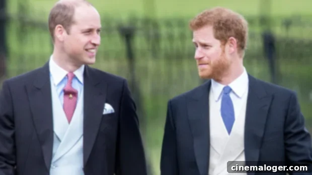 Prince Harry Alleges William Provoked Him Into Hitting Back 1 featured 5000357