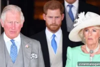 Prince Harry Explains Why Camilla Poses a Danger and Their Current Bond