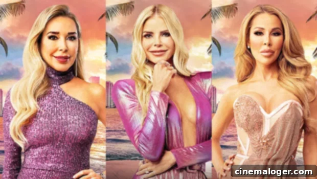 RHOM Showdown Alexia Takes On Nicole For Lawyer Lunch Rudeness 1 featured 5020315