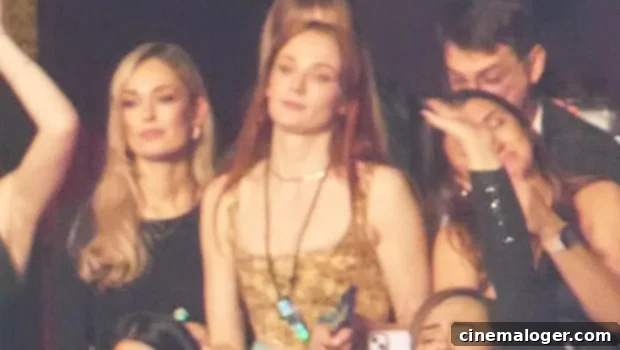 Priyanka And Sophie Lead The Cheers For Jonas Brothers Sold Out Night 1 featured 5075410