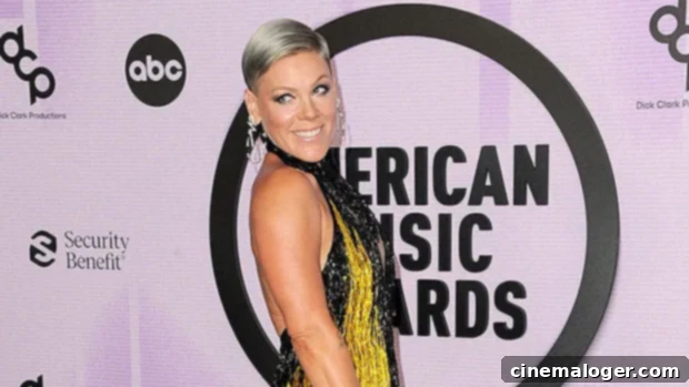 Pink, 43, Embraces 'Embarrassing Mom' Label After Nude Photo By Carey Hart 1 featured 5109389